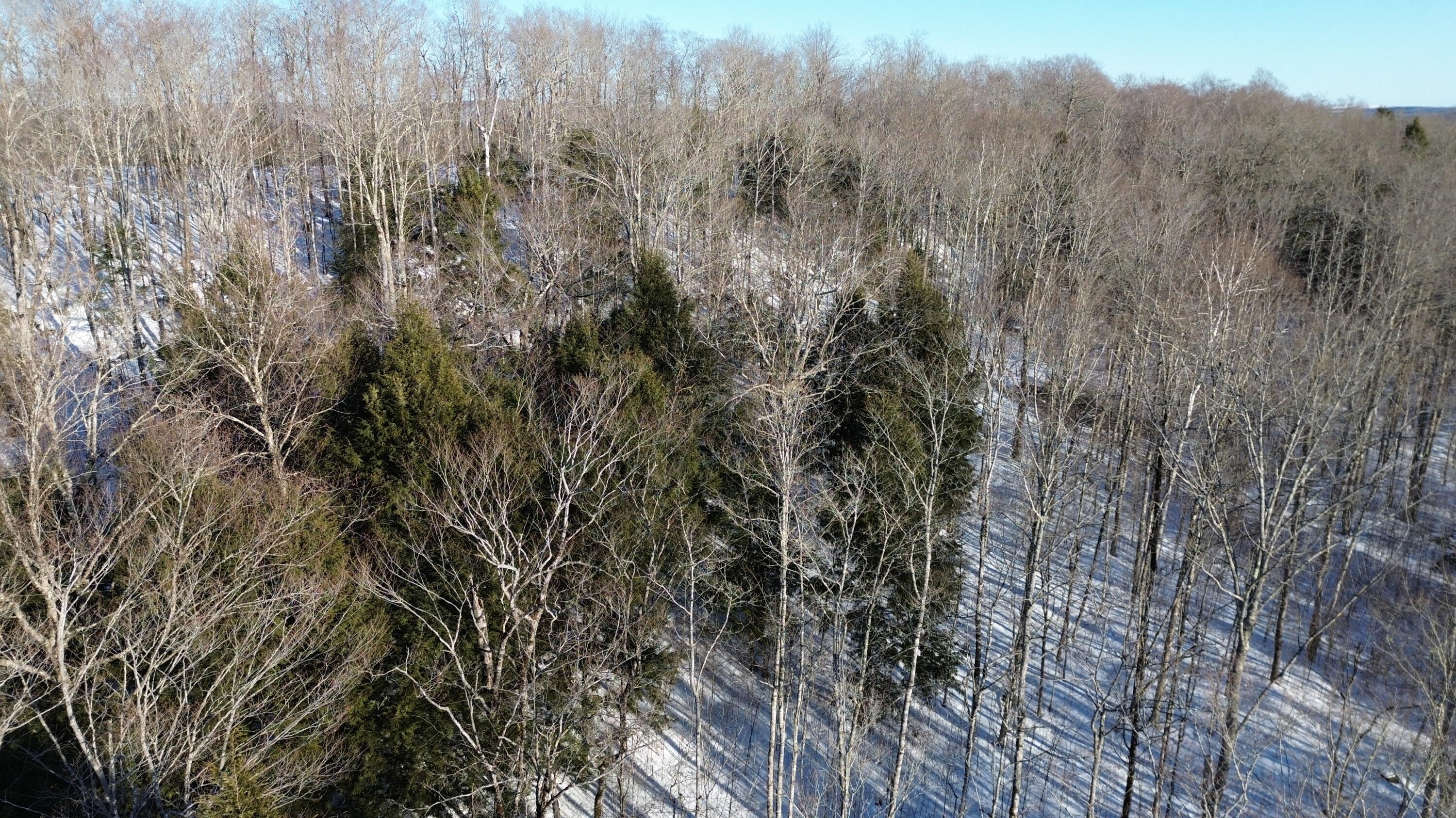 M7L22 Nelson Ridge Road N Washington ME 04574