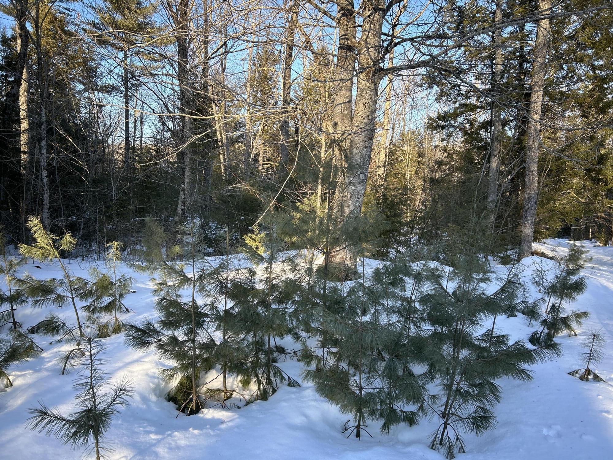 M7L22 Nelson Ridge Road N Washington ME 04574