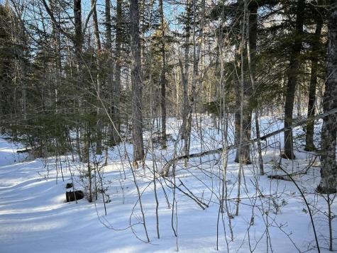 M7L22 Nelson Ridge Road N Washington ME 04574