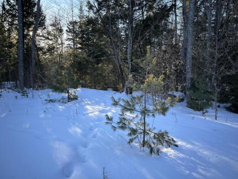M7L22 Nelson Ridge Road N Washington ME 04574