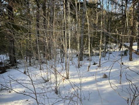 M7L22 Nelson Ridge Road N Washington ME 04574