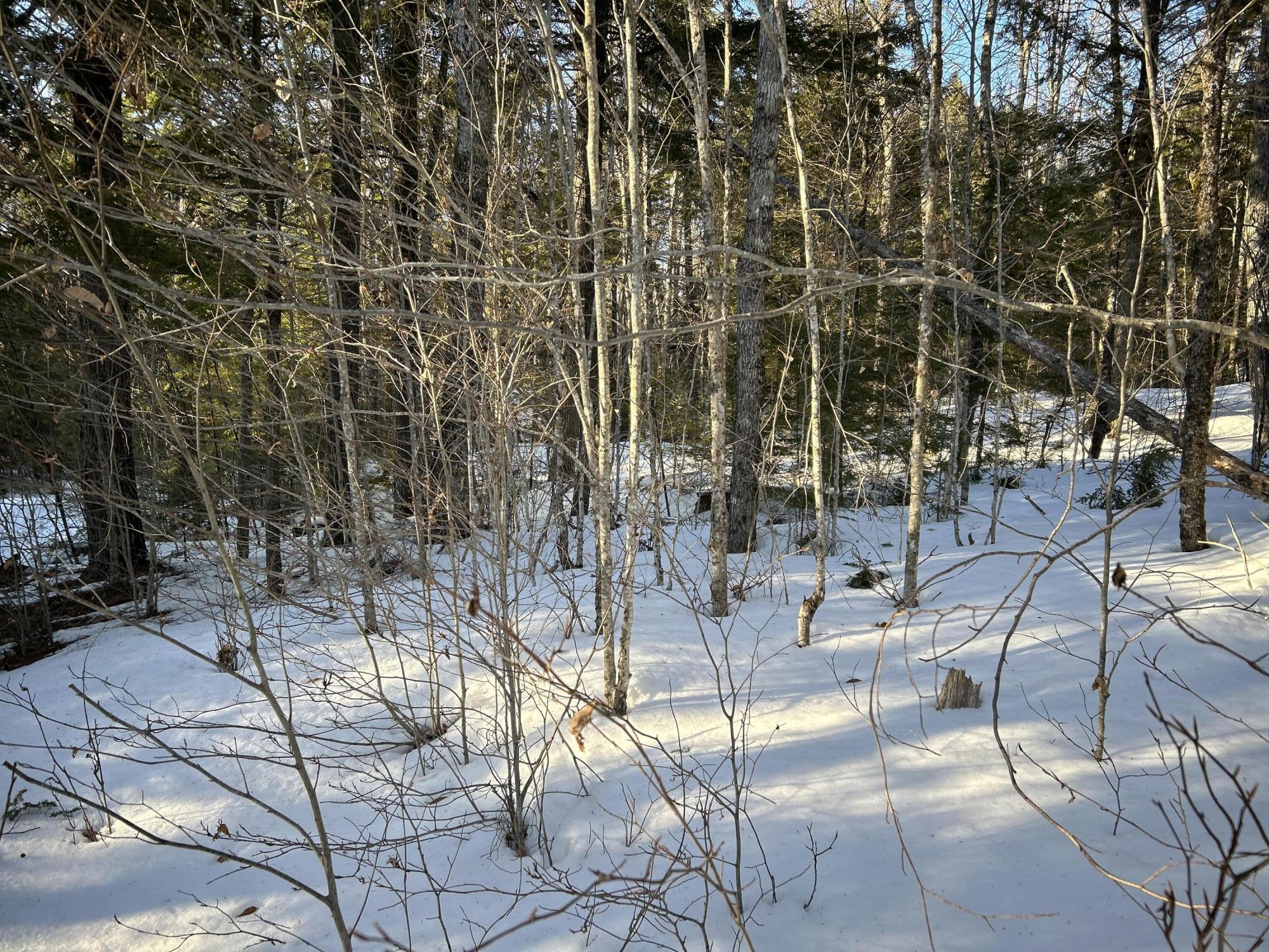M7L22 Nelson Ridge Road N Washington ME 04574