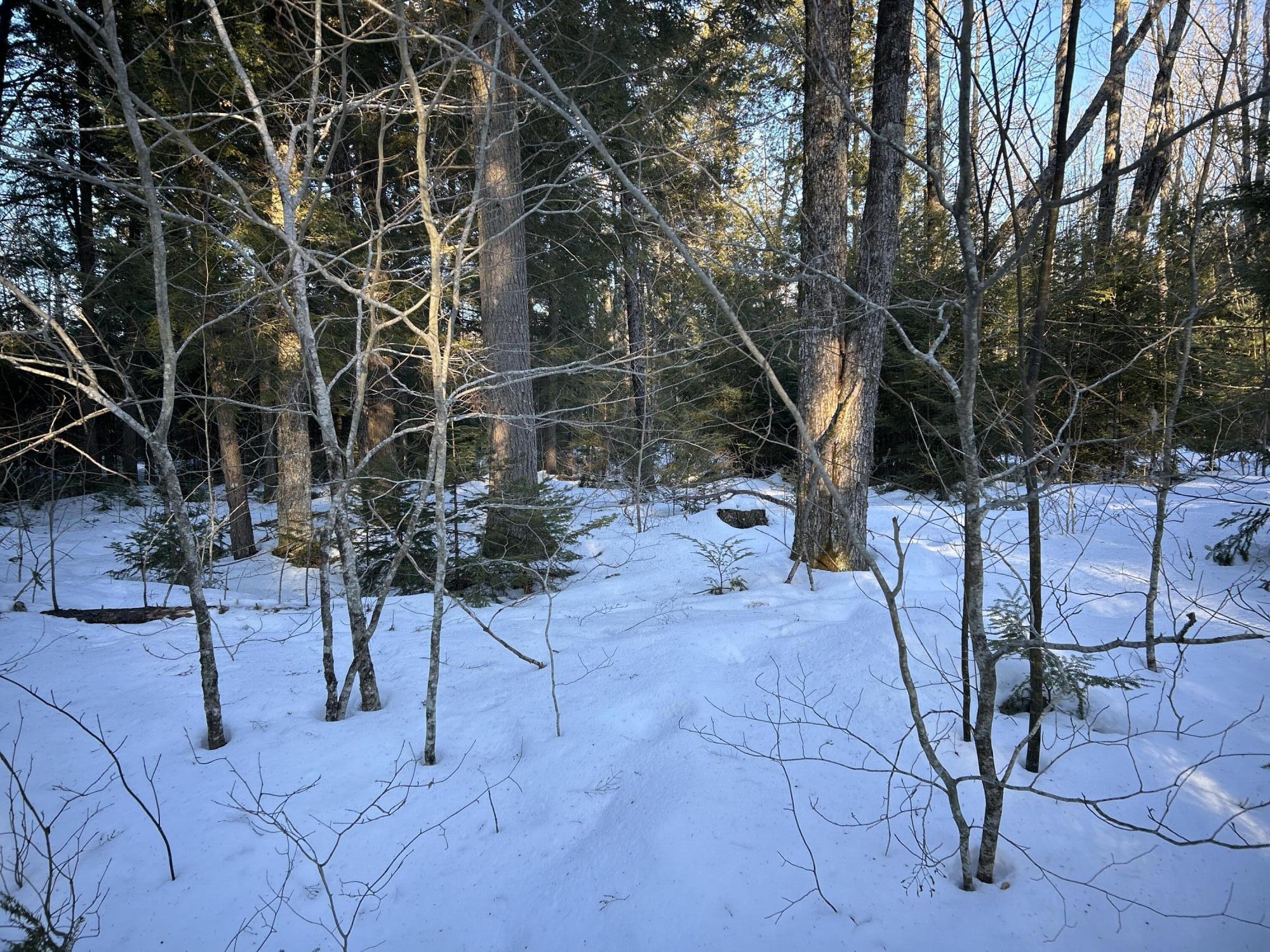 M7L22 Nelson Ridge Road N Washington ME 04574