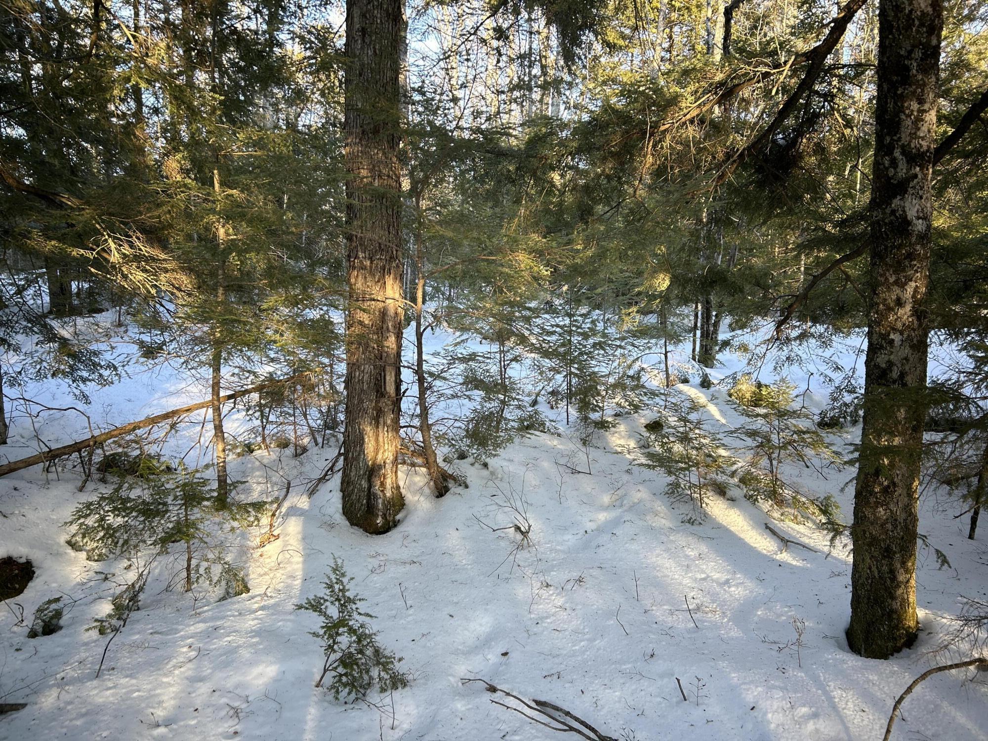 M7L22 Nelson Ridge Road N Washington ME 04574