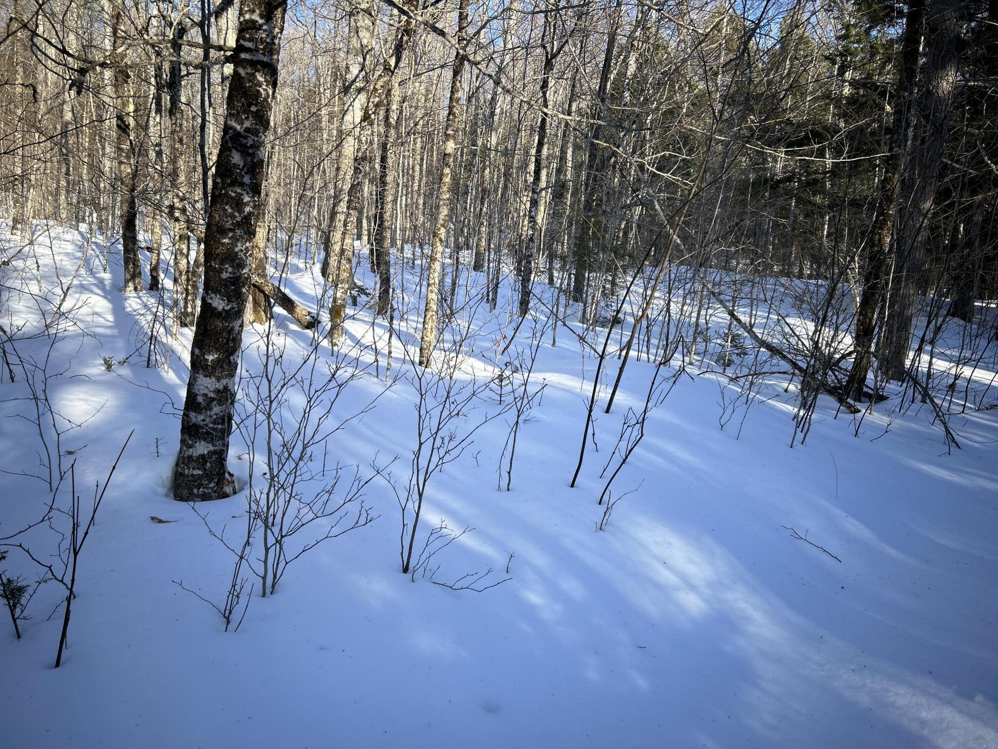 M7L22 Nelson Ridge Road N Washington ME 04574