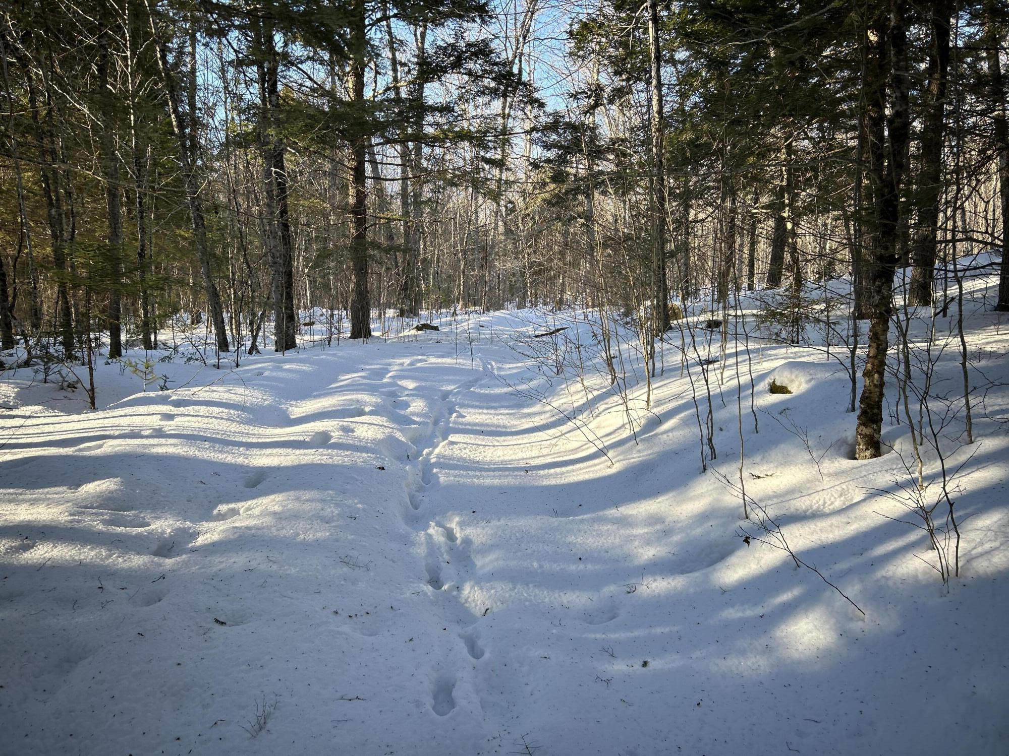 M7L22 Nelson Ridge Road N Washington ME 04574