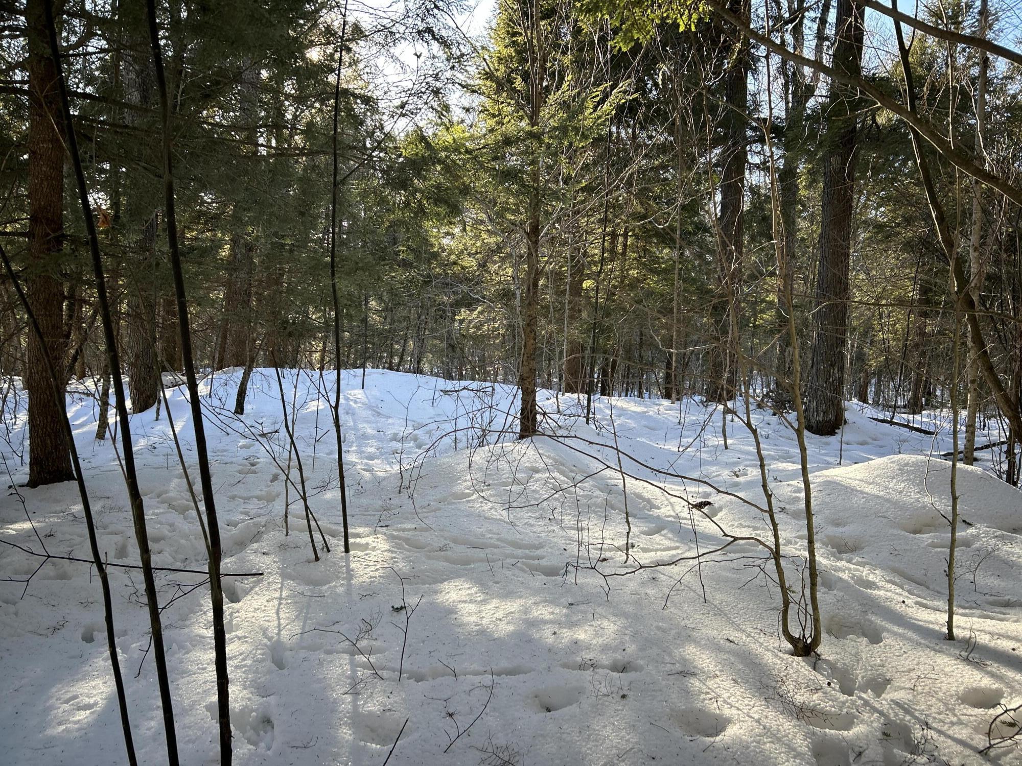 M7L22 Nelson Ridge Road N Washington ME 04574