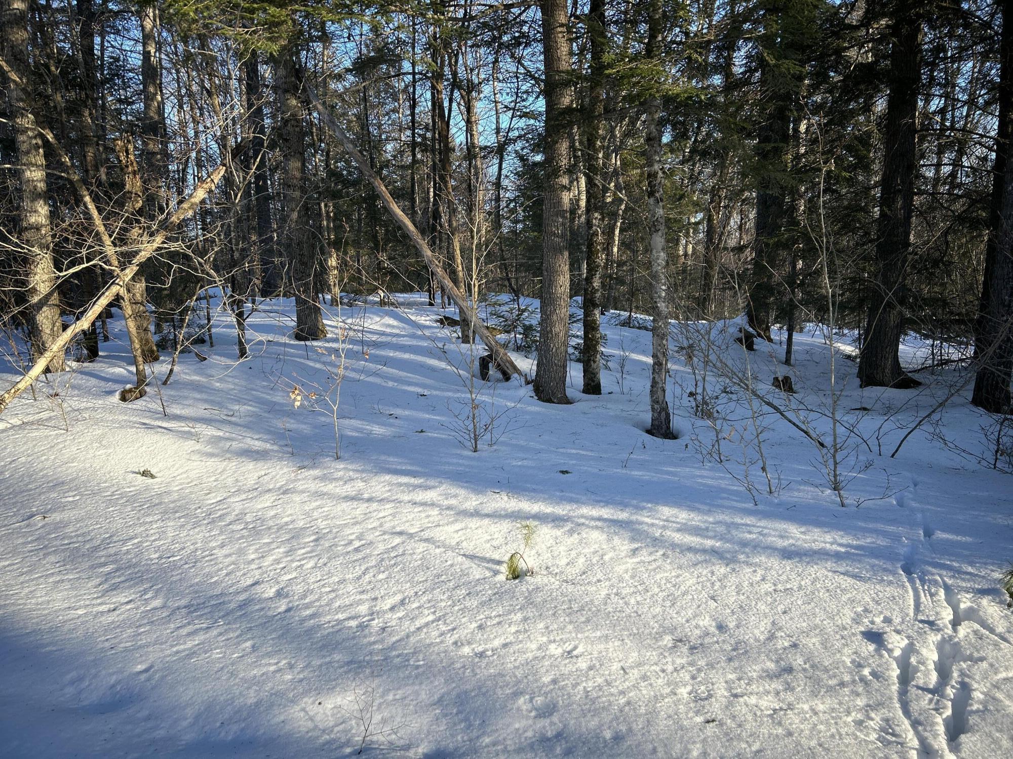 M7L22 Nelson Ridge Road N Washington ME 04574