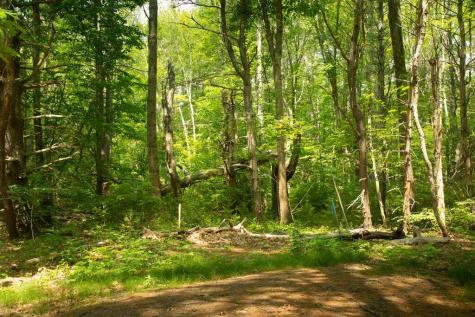 2 Lils Alley York ME 03909