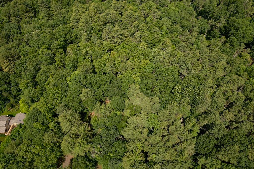 2 Lils Alley York ME 03909