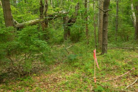 2 Lils Alley York ME 03909