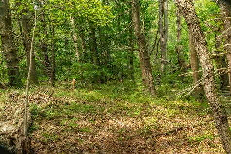 2 Lils Alley York ME 03909