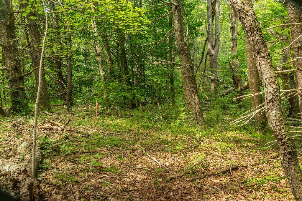 2 Lils Alley York ME 03909