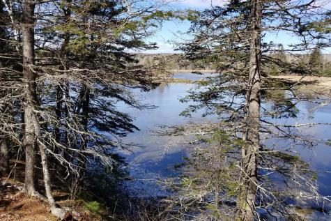 9 River Road Brooklin ME 04616