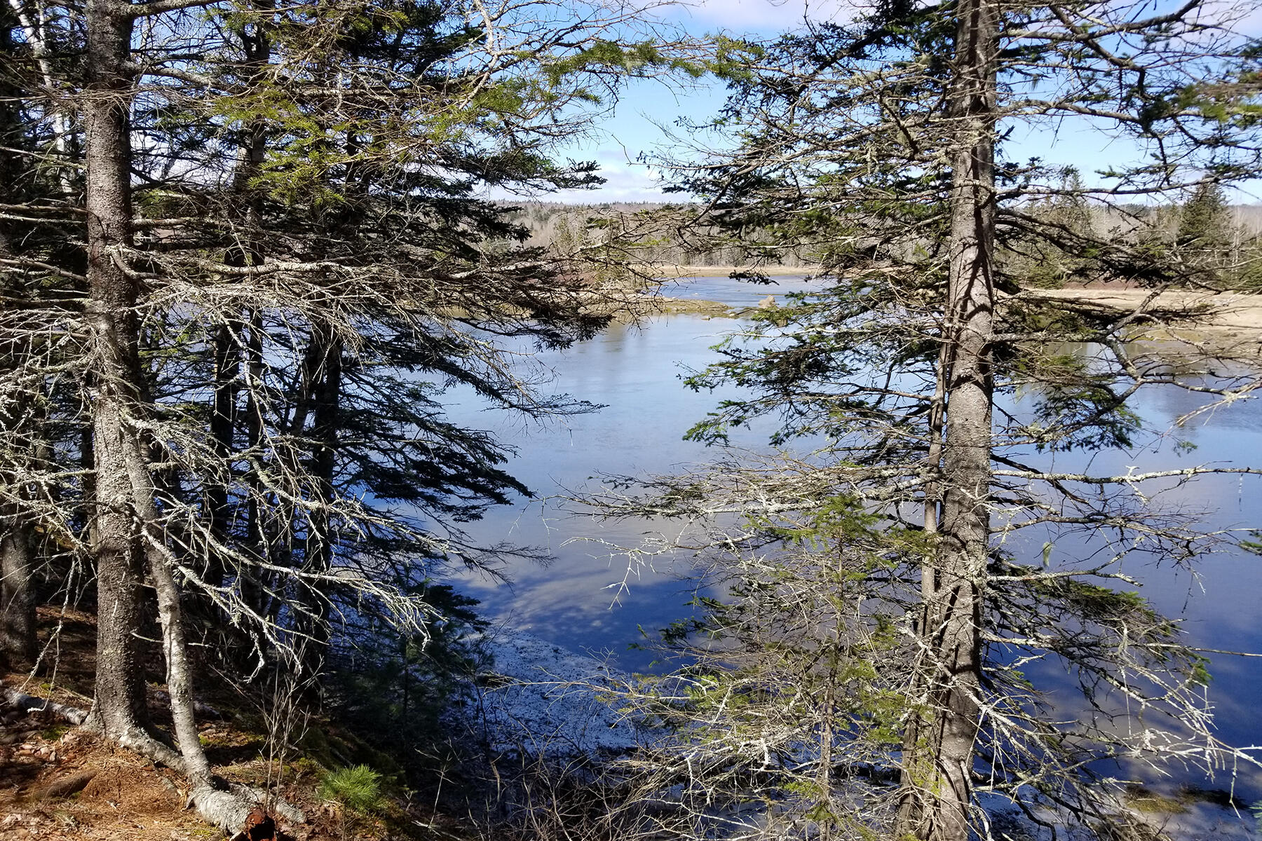 9 River Road Brooklin ME 04616