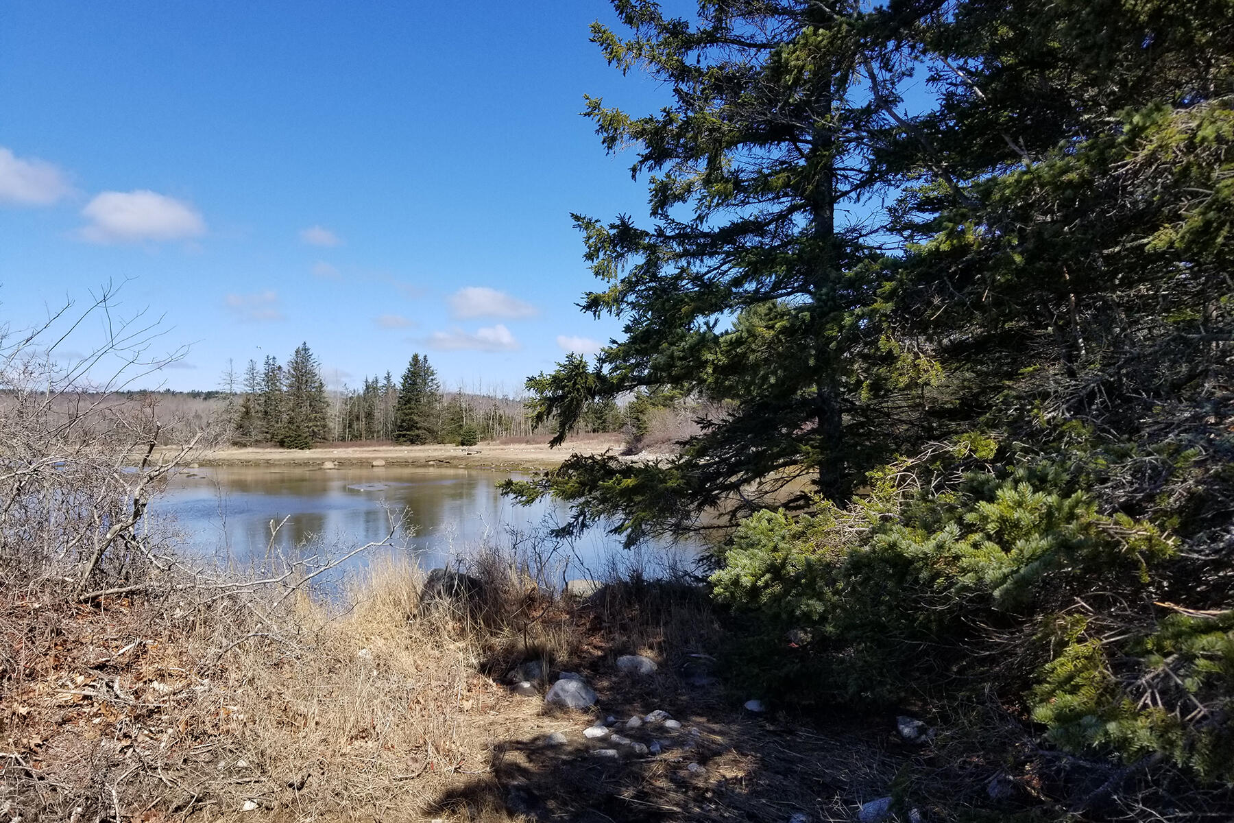 9 River Road Brooklin ME 04616