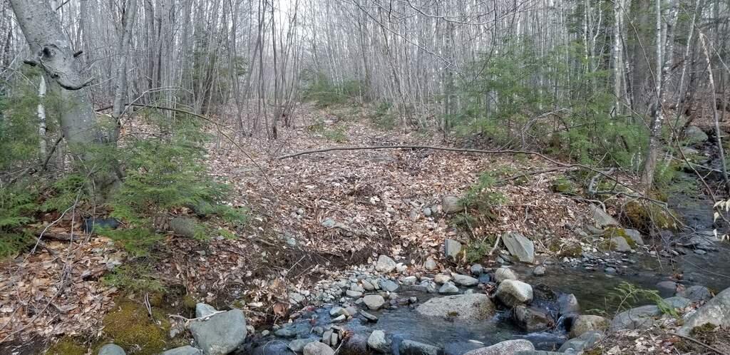 Lot 20 Hillside Drive New Vineyard ME 04956