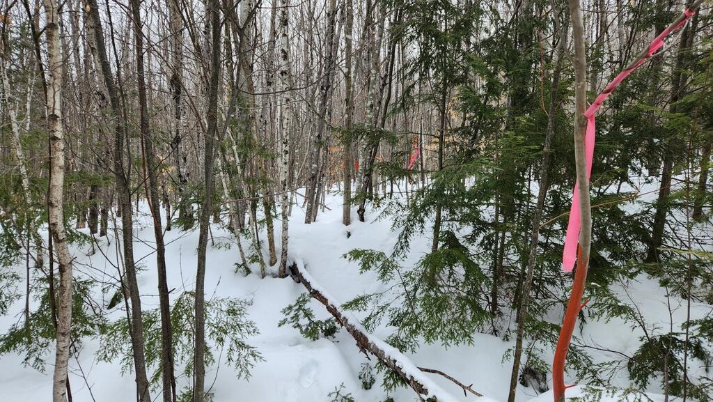 Lot 20 Hillside Drive New Vineyard ME 04956