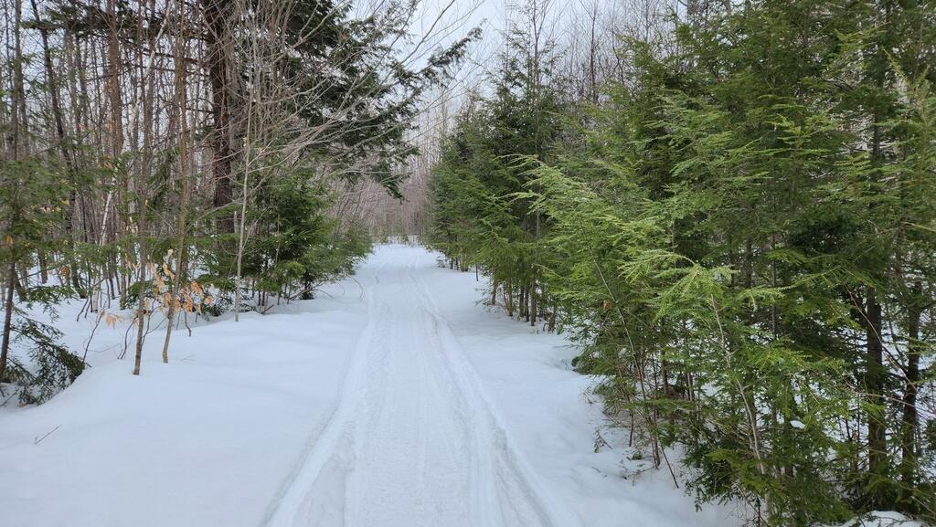 Lot 20 Hillside Drive New Vineyard ME 04956