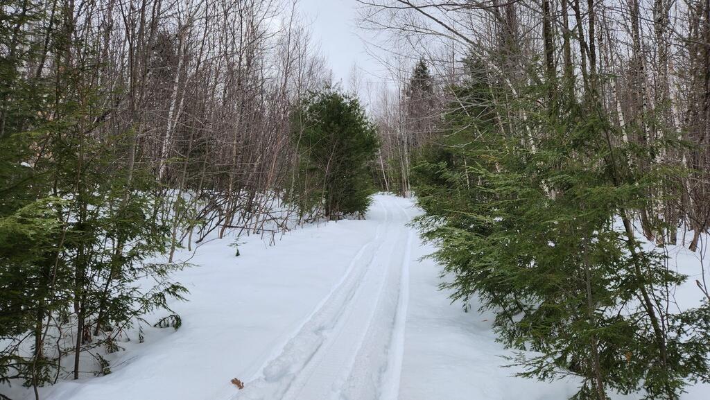 Lot 20 Hillside Drive New Vineyard ME 04956