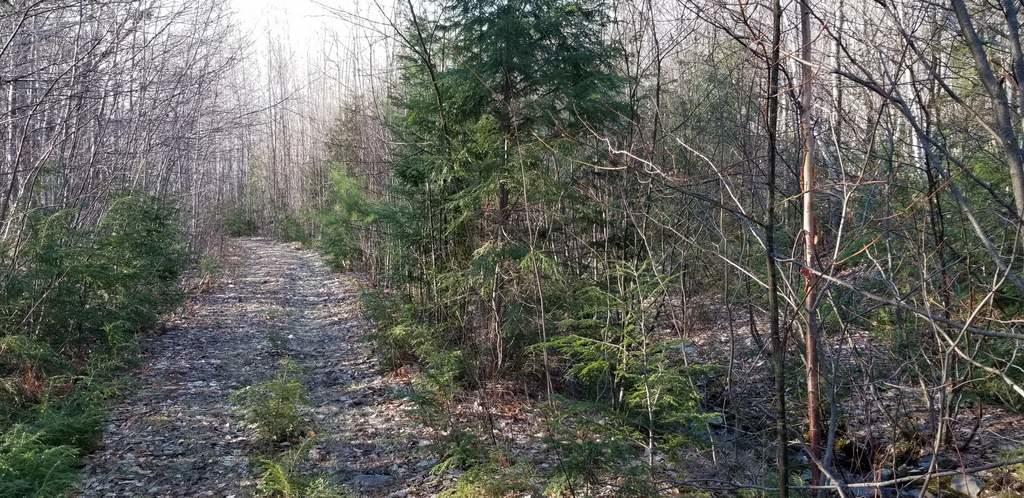 Lot 20 Hillside Drive New Vineyard ME 04956