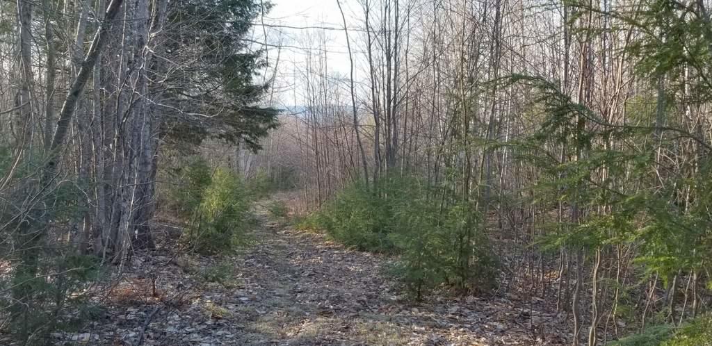 Lot 20 Hillside Drive New Vineyard ME 04956