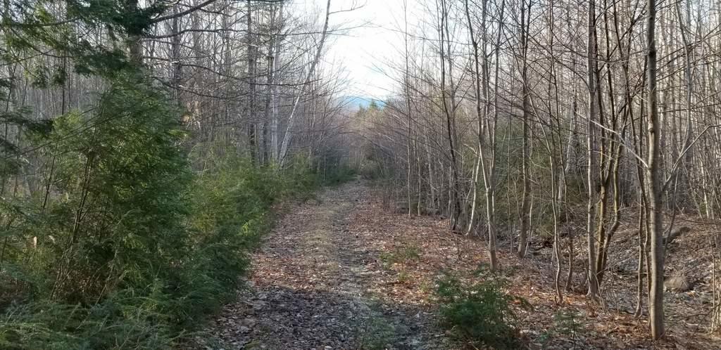 Lot 20 Hillside Drive New Vineyard ME 04956