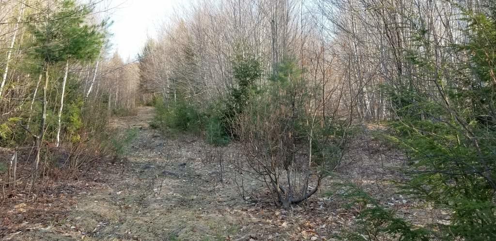 Lot 20 Hillside Drive New Vineyard ME 04956