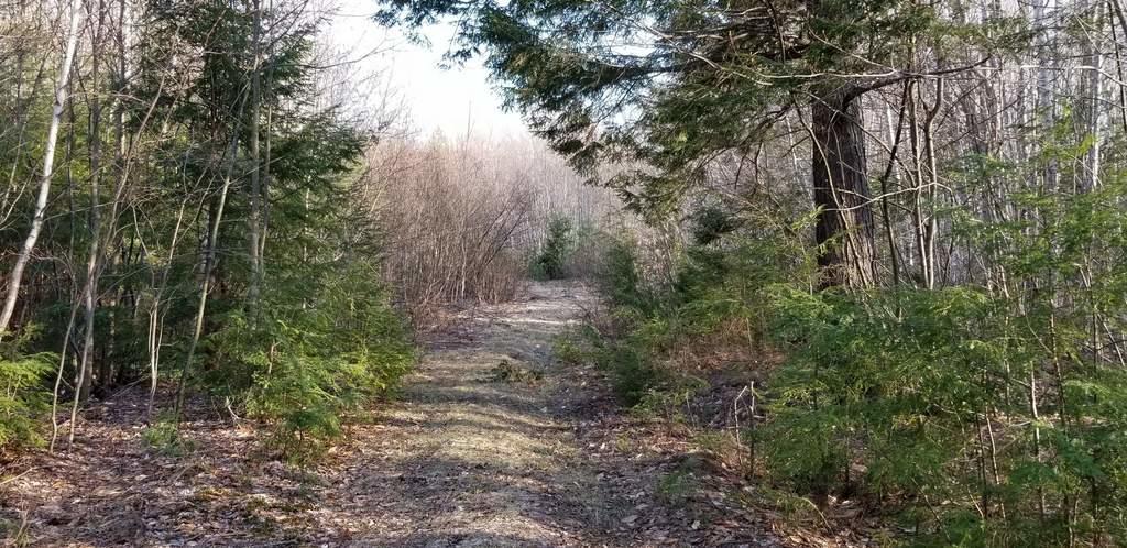 Lot 20 Hillside Drive New Vineyard ME 04956