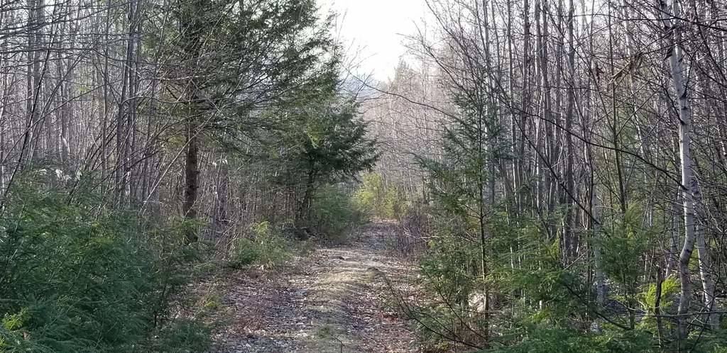 Lot 20 Hillside Drive New Vineyard ME 04956