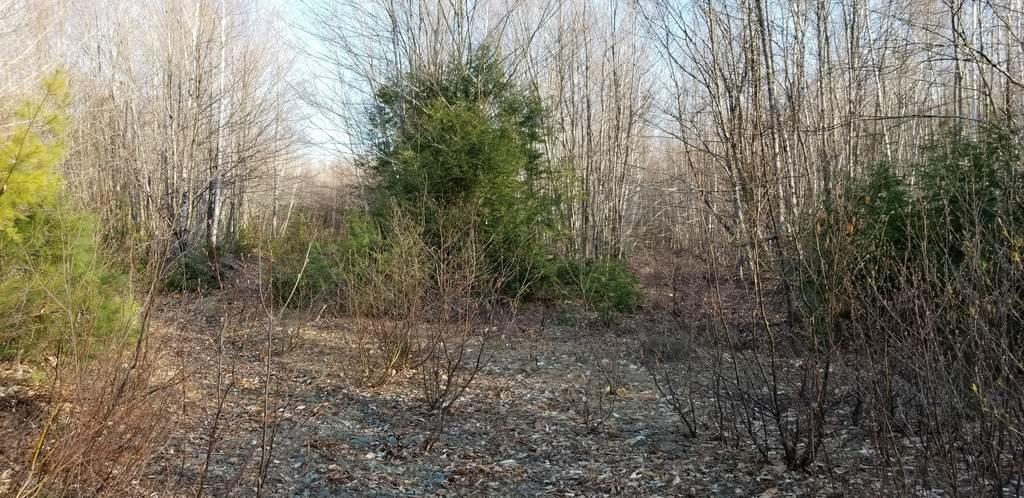 Lot 20 Hillside Drive New Vineyard ME 04956