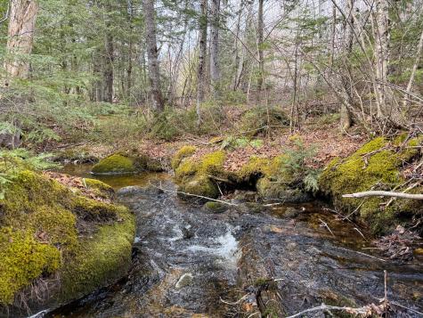 Lot 16 Upper Dobsis Road Lakeville ME 04487