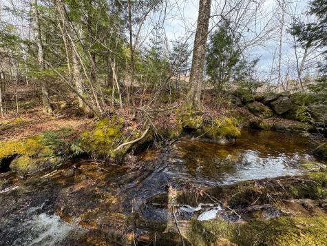 Lot 16 Upper Dobsis Road Lakeville ME 04487