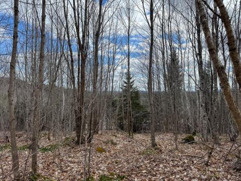 Lot 16 Upper Dobsis Road Lakeville ME 04487