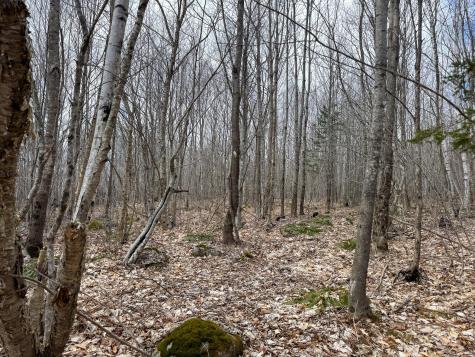 Lot 16 Upper Dobsis Road Lakeville ME 04487