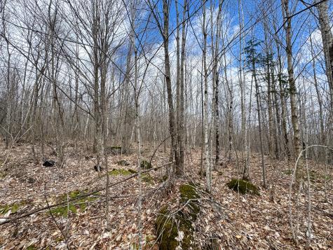 Lot 16 Upper Dobsis Road Lakeville ME 04487