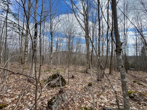 Lot 16 Upper Dobsis Road Lakeville ME 04487