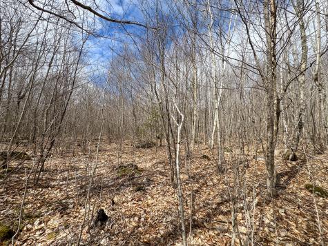 Lot 16 Upper Dobsis Road Lakeville ME 04487