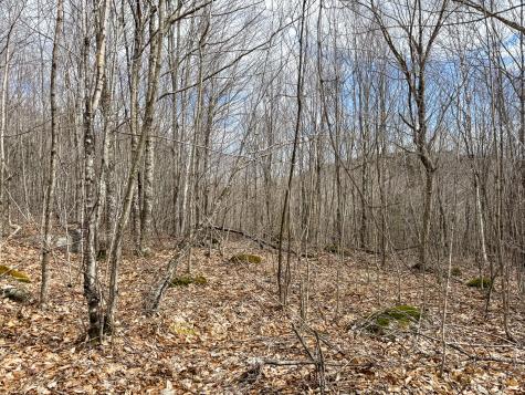 Lot 16 Upper Dobsis Road Lakeville ME 04487
