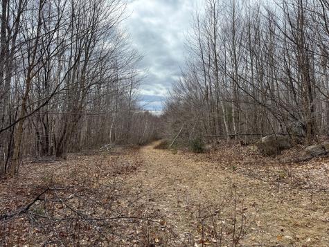 Lot 16 Upper Dobsis Road Lakeville ME 04487