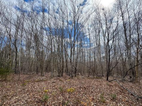 Lot 16 Upper Dobsis Road Lakeville ME 04487