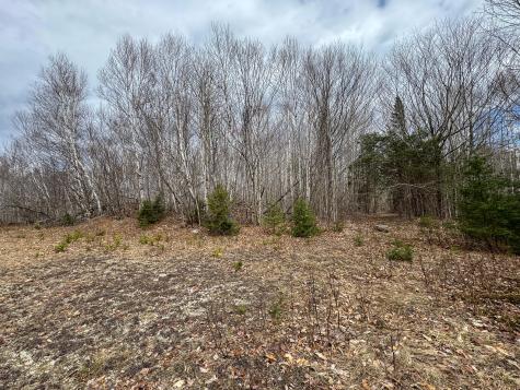 Lot 16 Upper Dobsis Road Lakeville ME 04487