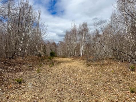 Lot 16 Upper Dobsis Road Lakeville ME 04487