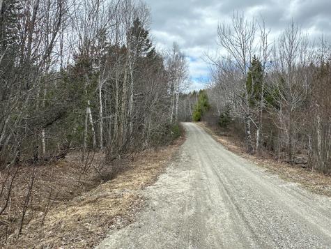 Lot 16 Upper Dobsis Road Lakeville ME 04487
