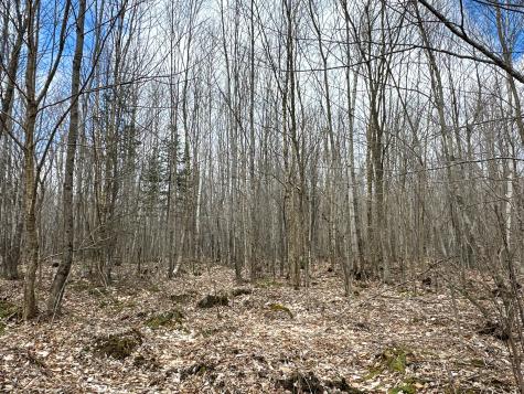 Lot 16 Upper Dobsis Road Lakeville ME 04487