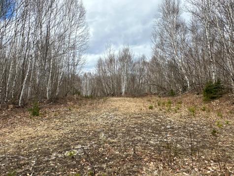 Lot 16 Upper Dobsis Road Lakeville ME 04487