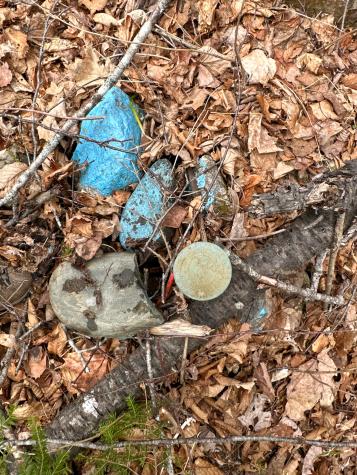 Lot 16 Upper Dobsis Road Lakeville ME 04487