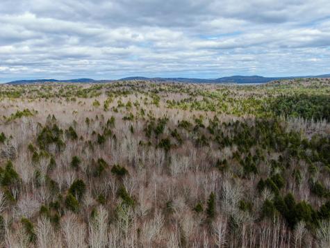 Lot 16 Upper Dobsis Road Lakeville ME 04487