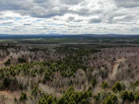 Lot 16 Upper Dobsis Road Lakeville ME 04487