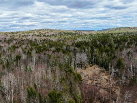 Lot 16 Upper Dobsis Road Lakeville ME 04487